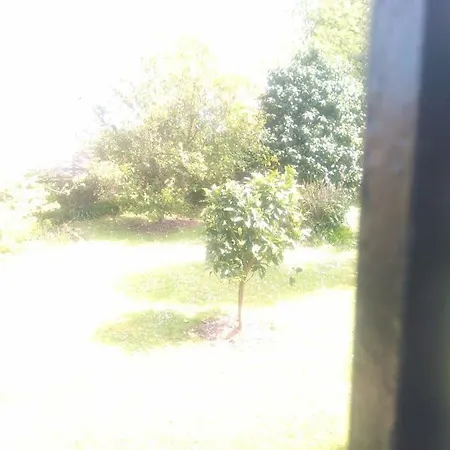 Maria Сasa de vacaciones